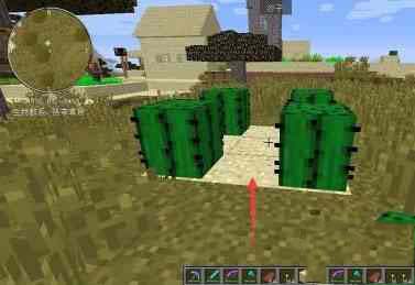 我的世界仙人掌有什么用 我的世界仙人掌怎么种植