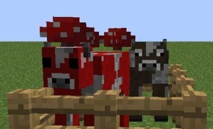 我的世界蘑菇牛吃什么繁殖 我的世界蘑菇牛怎么弄