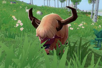 创造与魔法公牛哪里多 创造与魔法公牛怎么驯服