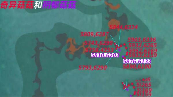 创造与魔法奇异菇位置图 创造与魔法奇异菇能做什么