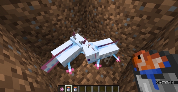 我的世界美西螈怎么繁殖 我的世界美西螈在哪里生成