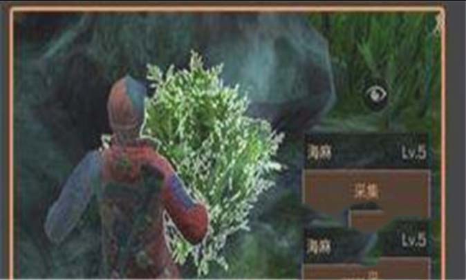 明日之后海麻叶怎么获得 明日之后海麻叶哪里多