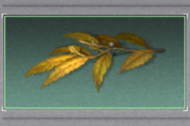 明日之后黄麻叶怎么获得 明日之后黄麻叶在哪采集