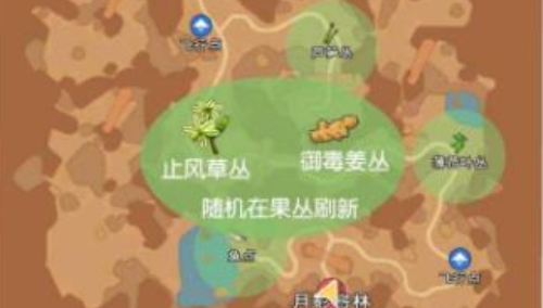 小森生活御毒姜刷新时间 小森生活御毒姜在哪里