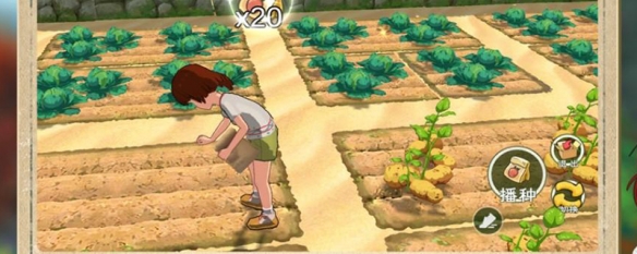 小森生活棉花怎么得到 小森生活棉花在哪里