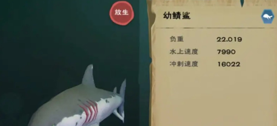 创造与魔法鲨鱼位置 创造与魔法鲨鱼多少级才能抓