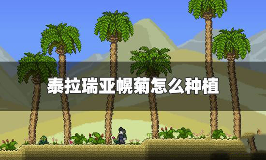 泰拉瑞亚幌菊怎么获得 泰拉瑞亚幌菊种子怎么获得