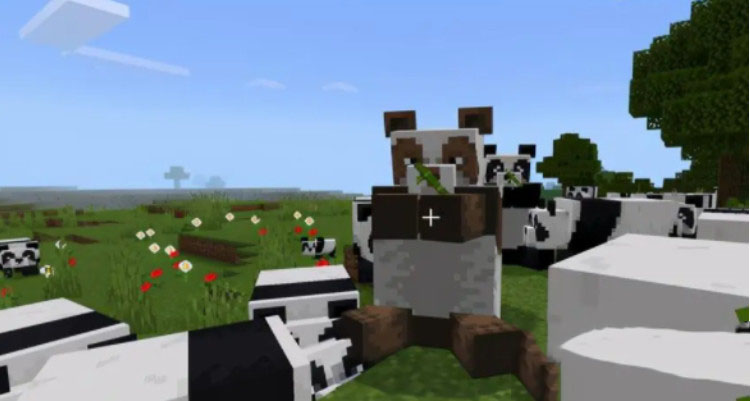 我的世界大熊猫可以被驯服吗 我的世界大熊猫有什么用