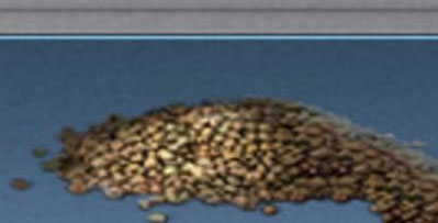 明日之后麻籽怎么获得 明日之后麻籽种子在哪买