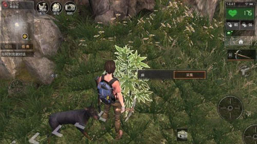 明日之后麻工卖什么最赚钱 明日之后麻工天赋加点推荐