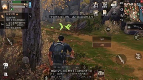 明日之后油菜哪里多，油菜刷新点 明日之后油菜花哪里多