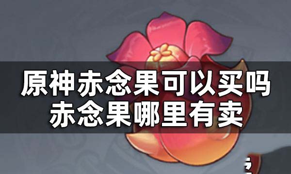 原神赤念果哪里有卖 原神赤念果采集路线