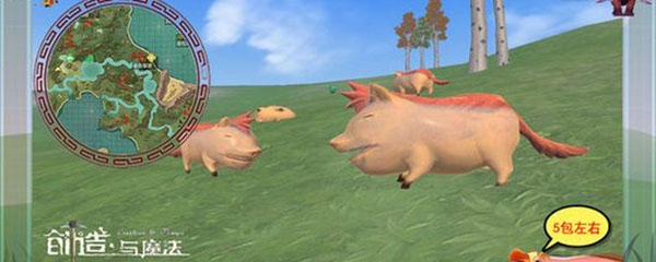 创造与魔法沙猪饲料怎么做 创造与魔法沙猪饲料保底多少包