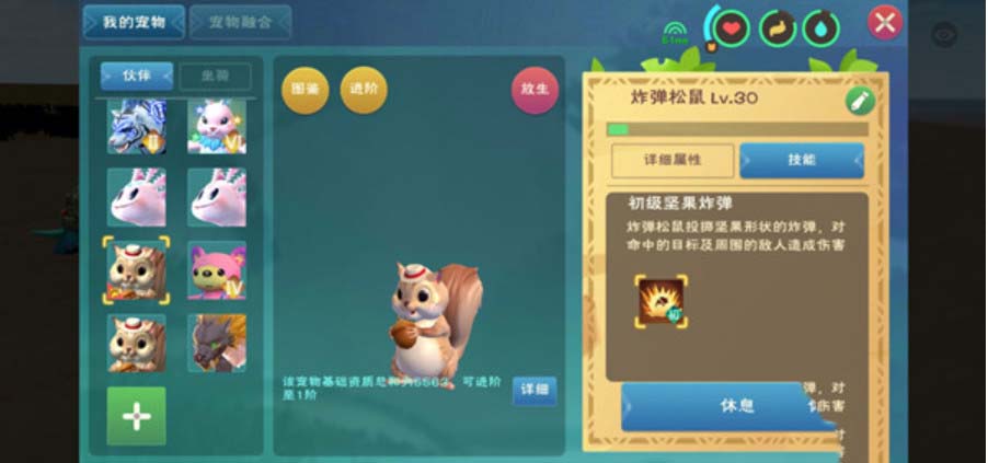 创造与魔法松鼠值得培养吗 创造与魔法松鼠极品资质