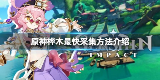 原神桦树位置 原神桦树采集点