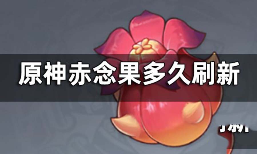 原神赤念果是谁的突破材料 原神赤念果多久刷新