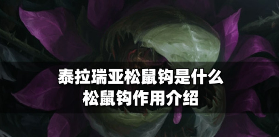 泰拉瑞亚松鼠钩怎么用 泰拉瑞亚松鼠钩怎么获得