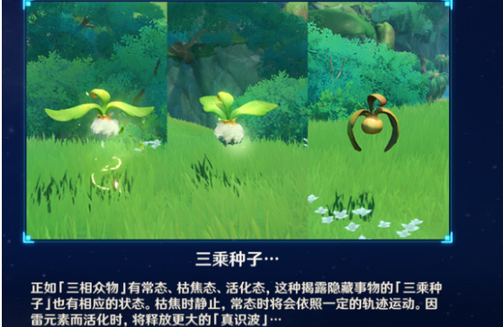 原神三乘种子枯焦怎么办 原神三乘种子枯焦怎么激活
