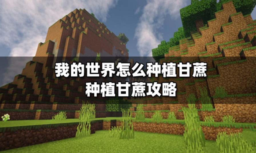 我的世界甘蔗怎么种 我的世界甘蔗怎么催熟