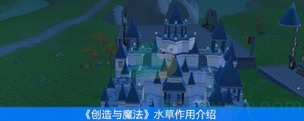 创造与魔法水草用处 创造与魔法水草哪里最多