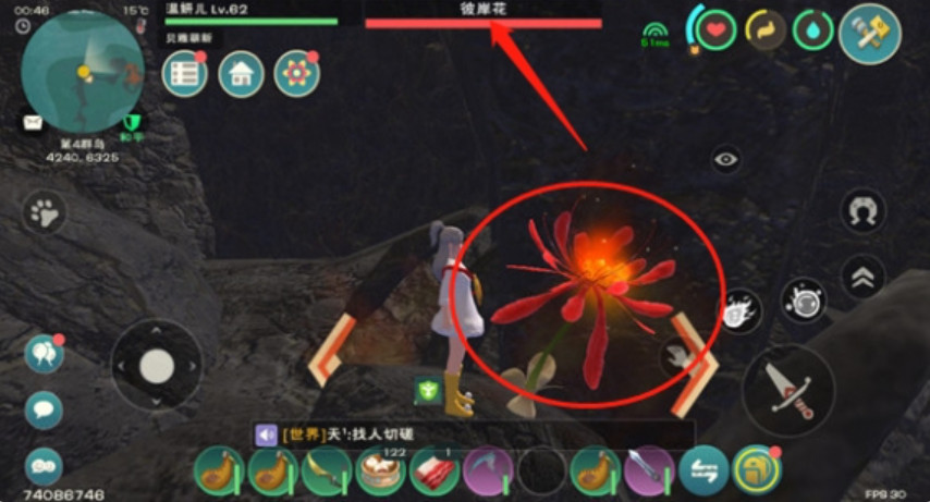 创造与魔法彼岸花怎么摘 创造与魔法彼岸花有什么用