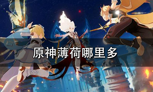 原神薄荷在哪里买 原神薄荷在哪里采集