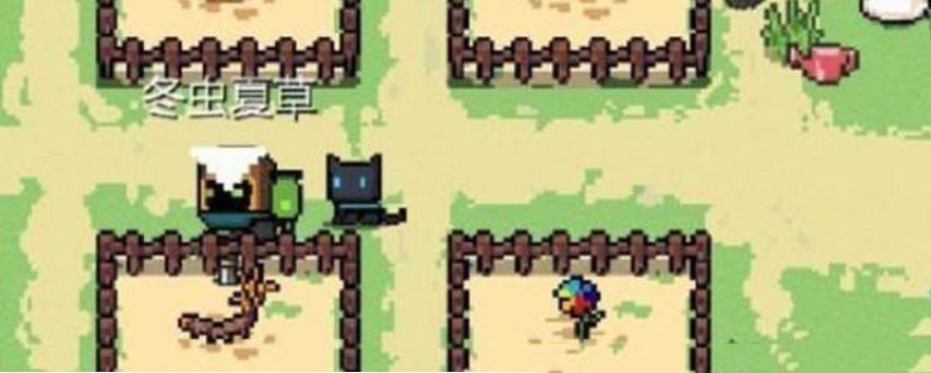 元气骑士冬虫夏草怎么获得 元气骑士冬虫夏草可以叠加使用吗