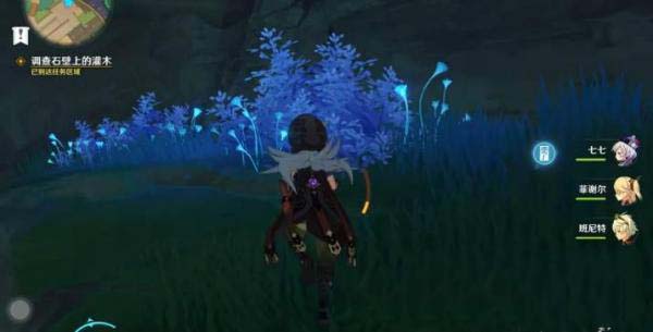 原神石壁上的灌木怎么做 原神石壁上的灌木怎么过