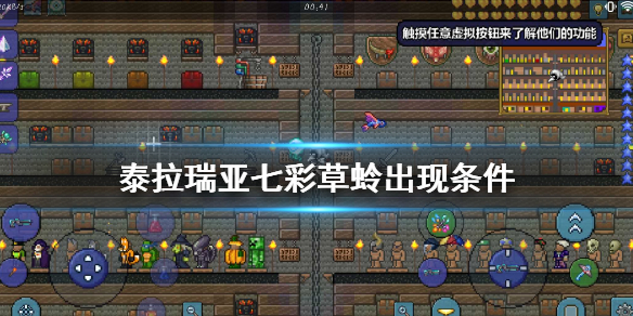 泰拉瑞亚七彩草蛉出现时间 泰拉瑞亚七彩草蛉怎么刷