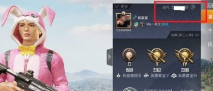 和平精英编号可以改吗 和平精英编号怎么找人