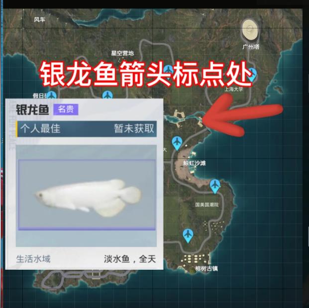 和平精英银龙鱼怎么钓 和平精英银龙鱼在哪里钓