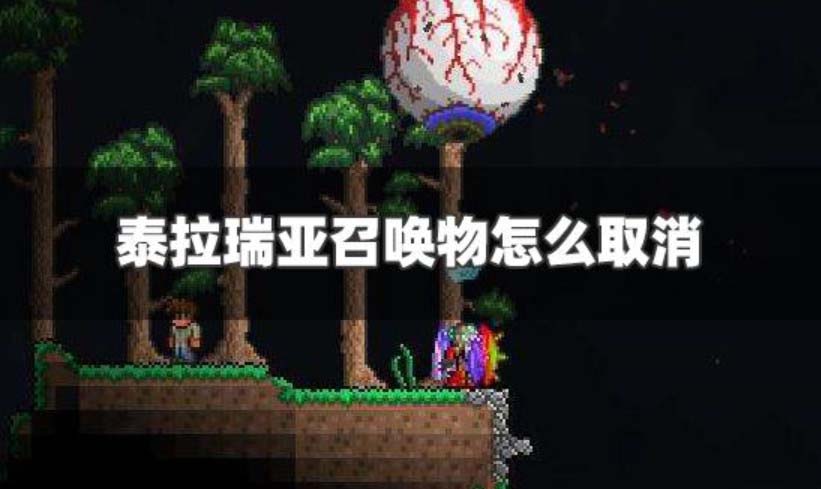 泰拉瑞亚召唤物怎么取消 泰拉瑞亚召唤物上限怎么增加