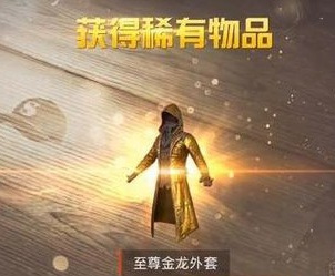 和平精英黄金风衣怎么获得 和平精英黄金风衣多少钱