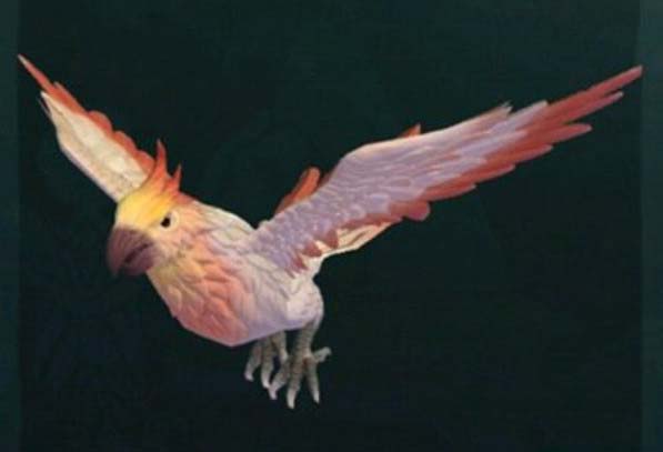 创造与魔法小鸟的饲料怎么做 创造与魔法小鸟的饲料多少包保底