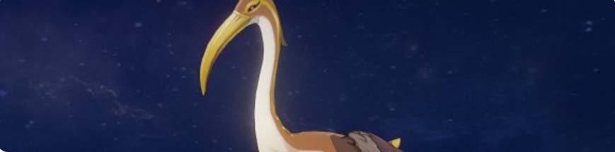 原神圣鹮在哪抓 原神圣鹮怎么抓