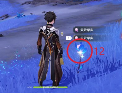 原神天云草实哪里有卖 原神天云草实采集路线