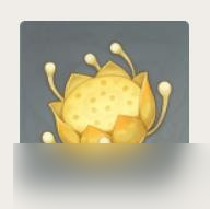 原神月莲在哪里采集 原神月莲在哪里购买