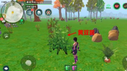 创造与魔法黄豆食谱 创造与魔法黄豆在哪里刷最多