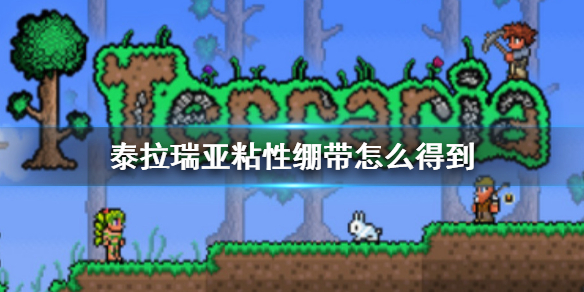 泰拉瑞亚粘性绷带掉落概率 泰拉瑞亚粘性绷带有什么用