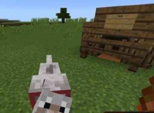 我的世界猫吃什么 我的世界猫怎么驯服