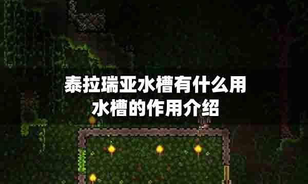 泰拉瑞亚水槽怎么接水 泰拉瑞亚水槽有什么用