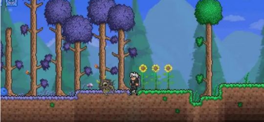 泰拉瑞亚金鱼怎么抓 泰拉瑞亚金鱼有什么用