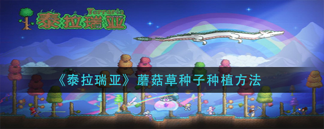 泰拉瑞亚蘑菇人住条件 泰拉瑞亚蘑菇草种子怎么获得