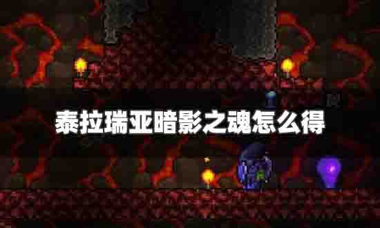 泰拉瑞亚暗黑之魂怎么弄 泰拉瑞亚暗黑之魂打谁掉