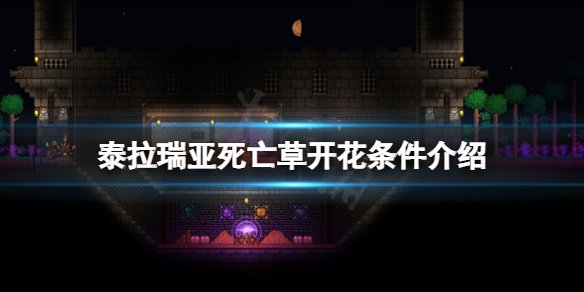 泰拉瑞亚死亡草种植条件 泰拉瑞亚死亡草种子怎么弄