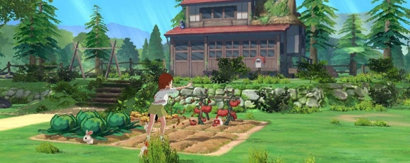 小森生活赤鬼在哪里捕捉 小森生活赤鬼怎么捕捉