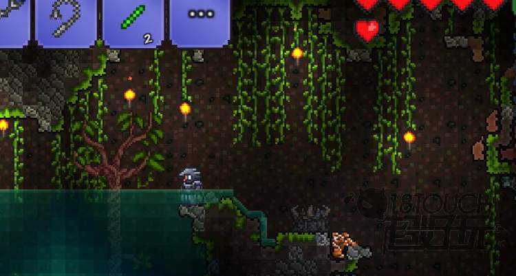 泰拉瑞亚宝石树生长条件 泰拉瑞亚宝石树大概什么时候成熟