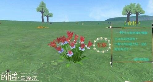 创造与魔法花椒位置 创造与魔法花椒食谱