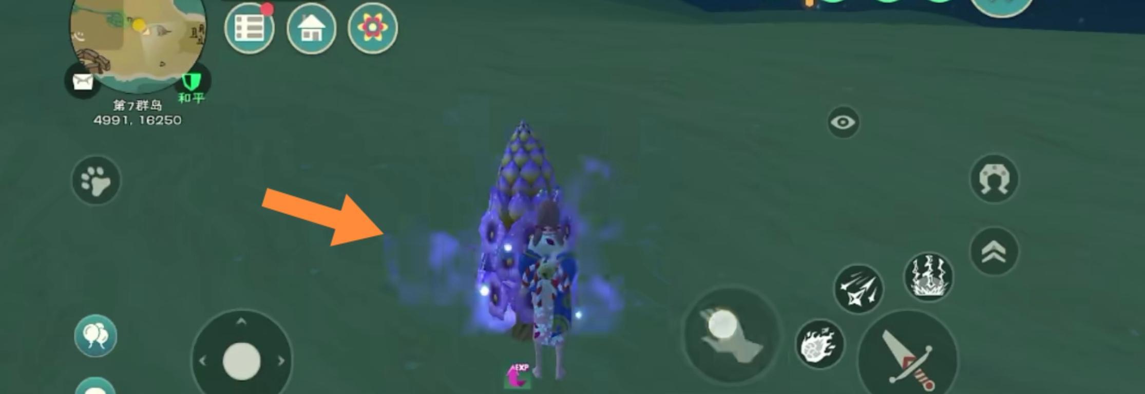 创造与魔法花苞位置图 创造与魔法花苞刷新时间表