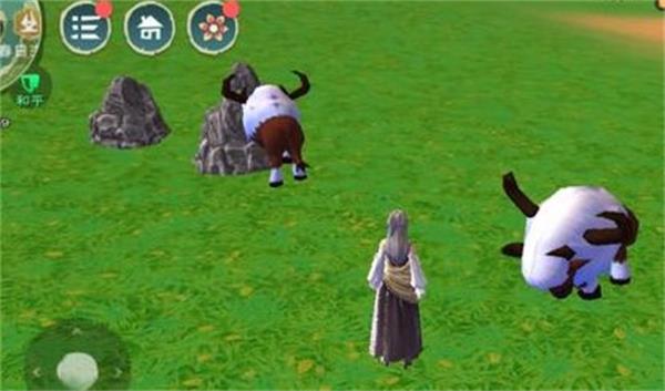 创造与魔法水稻在哪里获得 创造与魔法水稻有什么用